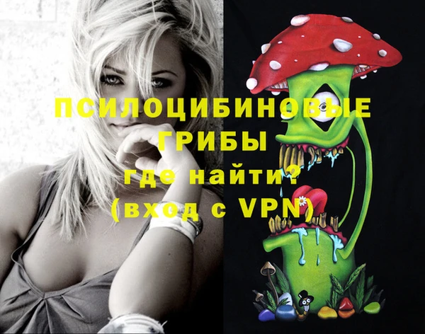 мдпв Наволоки