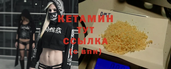 индика Заполярный